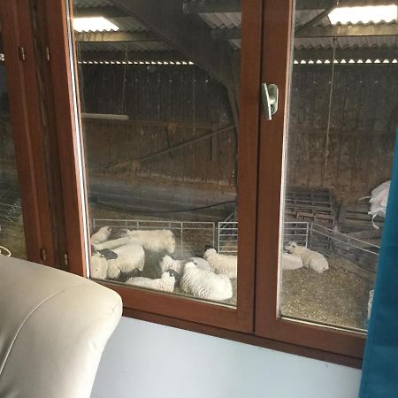 Le Loup Dans La Bergerie Bed & Breakfast Montmartin-sur-Mer Dış mekan fotoğraf