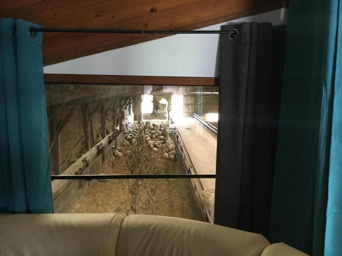 Le Loup Dans La Bergerie Bed & Breakfast Montmartin-sur-Mer Dış mekan fotoğraf
