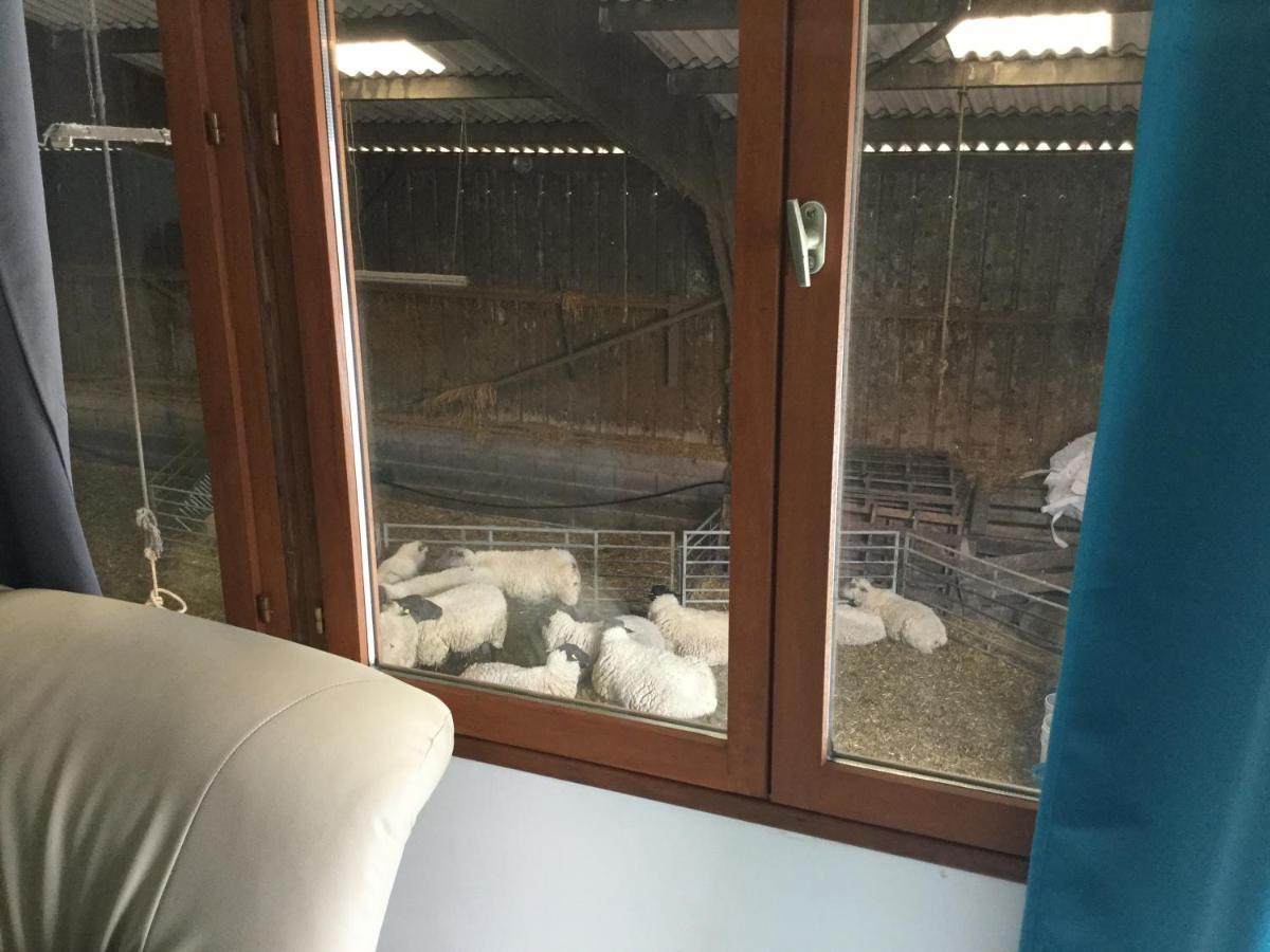 Le Loup Dans La Bergerie Bed & Breakfast Montmartin-sur-Mer Dış mekan fotoğraf