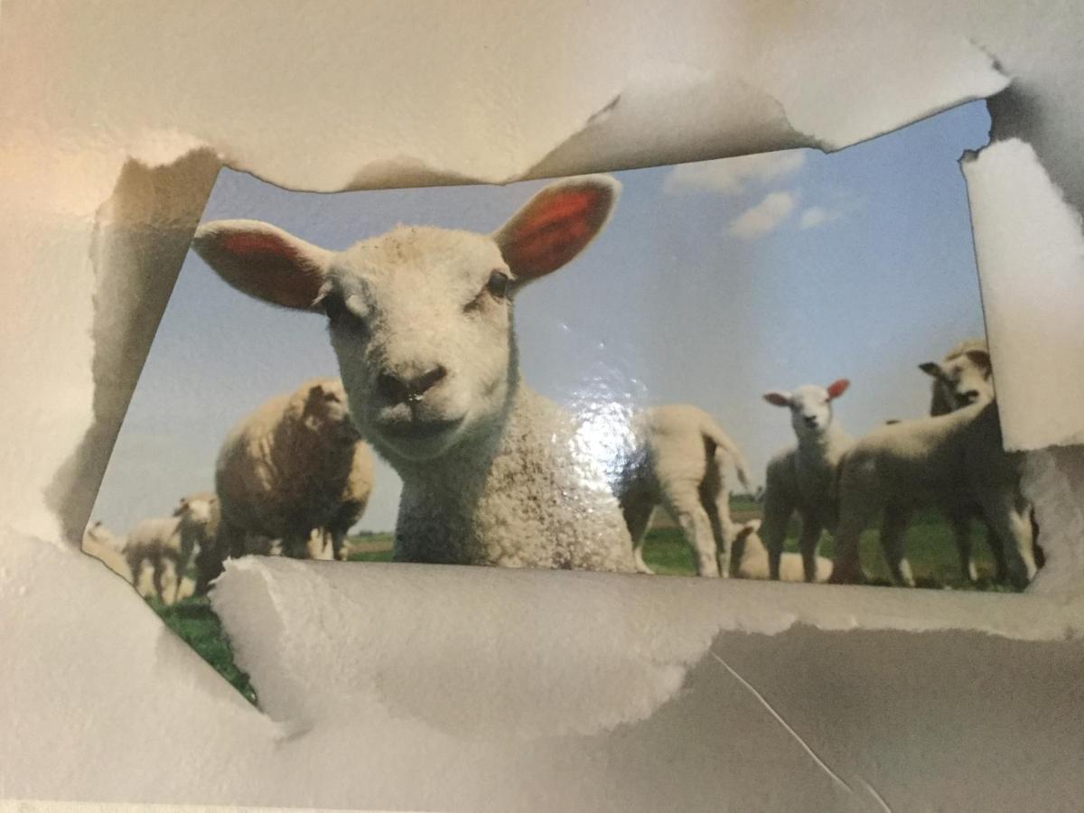 Le Loup Dans La Bergerie Bed & Breakfast Montmartin-sur-Mer Dış mekan fotoğraf
